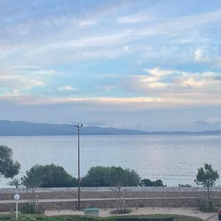 Superbe Pieds Dans L Eau Ajaccio Face A La Mer Plage De Sable Fin Route Des Iles Des Sanguinaires المظهر الخارجي الصورة
