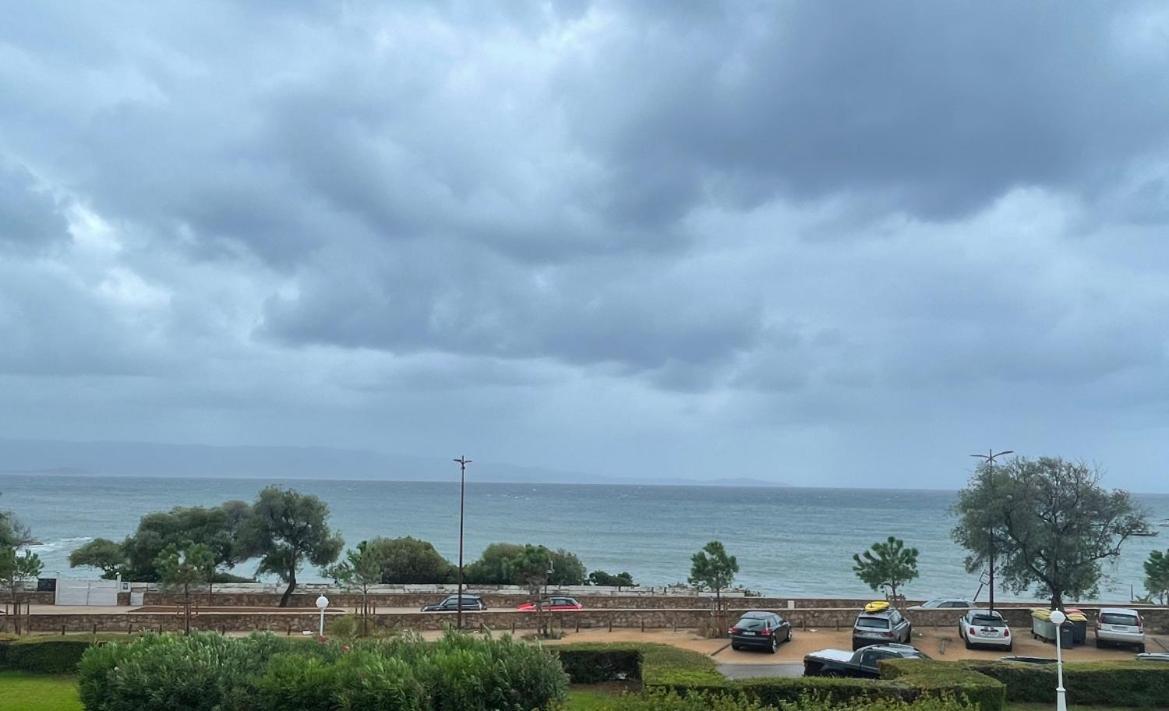 Superbe Pieds Dans L Eau Ajaccio Face A La Mer Plage De Sable Fin Route Des Iles Des Sanguinaires المظهر الخارجي الصورة