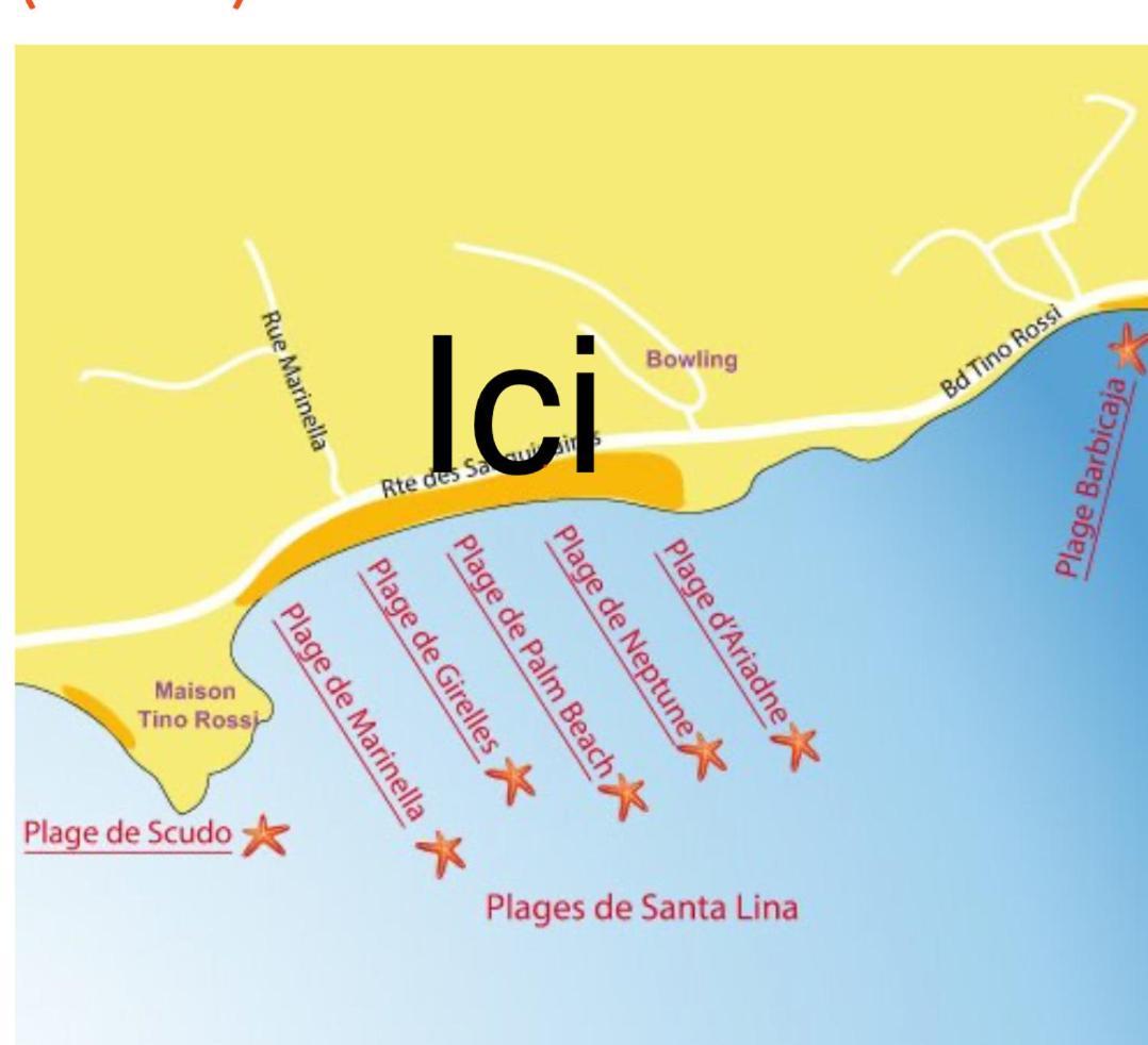 Superbe Pieds Dans L Eau Ajaccio Face A La Mer Plage De Sable Fin Route Des Iles Des Sanguinaires المظهر الخارجي الصورة